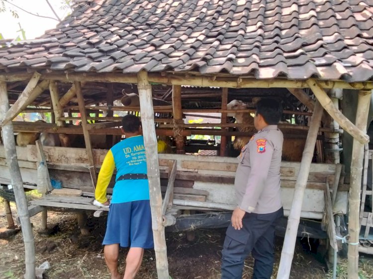 Polisi Himbau Peternak Perhatikan Tumbuh Kembang Hewan Guna Menunjang Program Ketahanan Pangan